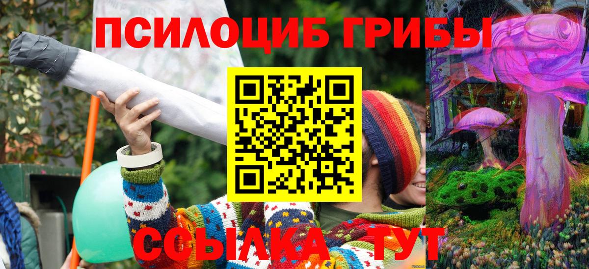 Галлюциногенные грибы Cubensis Выборг