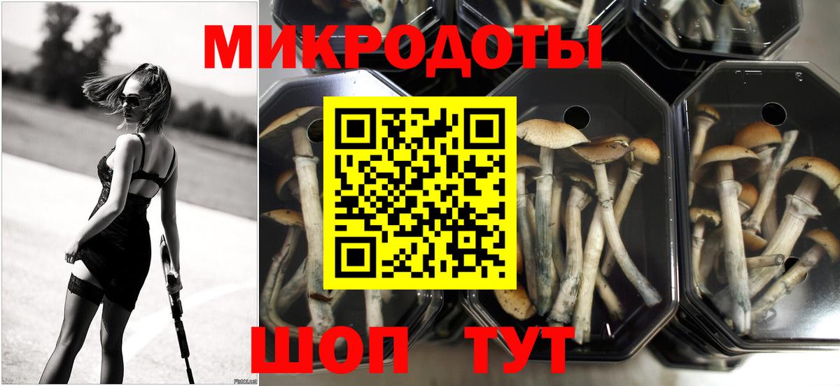 Галлюциногенные грибы Cubensis  Галлюциногенные грибы ЛСД  Вход с VPN  дарнет шоп  Выборг 